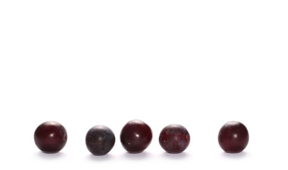 Wild plums with leaves and twigs, ringlov, isolated on white background