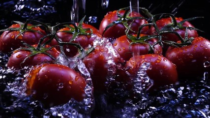 Amazing randomly water flowing and splashing fresh tomatoes on vine, laying in shallow water on black background in back-light. Excellent slow motion for vibrant intro. Shooting with high-speed camera - Powered by Adobe