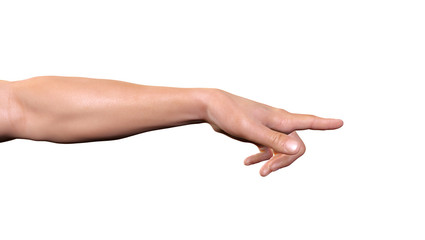 3d male hand pointing