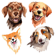 Exotic dog wild animal in a watercolor style isolated. Full name of the animal: dogs. Aquarelle wild animal for background, texture, wrapper pattern or tattoo. © yanushkov