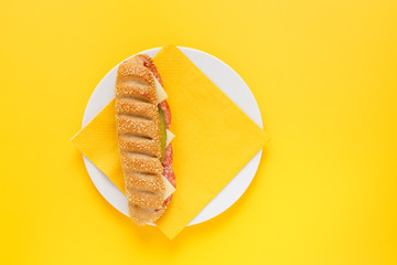 One sandwich of French baguette on a bright background. Food top view of a color image. Food in the style of art