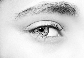 A beautiful insightful look eye. Close up shot