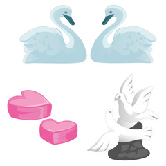 A set of symbols of love, marriage and honeymooners. A pair of swans, pigeons and hearts isolated on white background. Vector illustration.