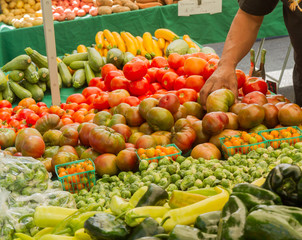 Farmer's market produce for sale at stand, with person holding an heirloom tomato. Cherry tomatoes, brussel sprouts, zucchini, squashes, gypsy peppers and bell peppers are visible.