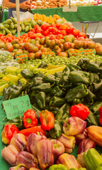 Farmer's market produce for sale at stand. Color horizontal photo of heirloom tomatoes, cherry tomatoes, brussel sprouts, zucchini, squashes, gypsy peppers and bell peppers are visible.