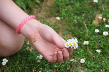 Hands clad in a garland of wild flowers to wear on the head