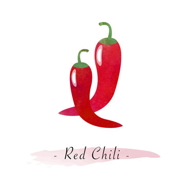 Colorful watercolor texture vector healthy vegetable red chili