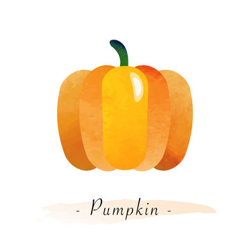 Colorful watercolor texture vector healthy vegetable pumpkin
