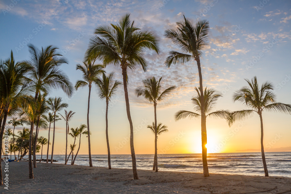 Wall mural hawaiian sunset as seen from a beach with palm trees in silhouette