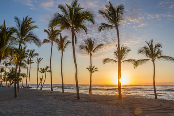 Obraz na płótnie Canvas Hawaiian sunset as seen from a beach with palm trees in silhouette