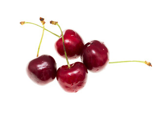 Juicy red cherry on a white background