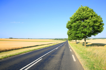 Rural road in Champagne, France