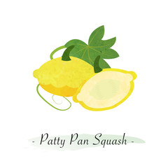 Colorful watercolor texture vector healthy vegetable yellow patty pan squash