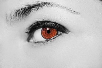 A beautiful insightful look woman's eye. Close up shot