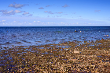 The picturesque coast of the Finskiy Gulf in Saint-Petersburg, Russia