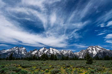 Mountain Peaks in Summer