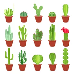 Selbstklebende Fototapete Kaktus im Topf Kaktus-Symbole in einem flachen Stil auf weißem Hintergrund. Hauspflanzen Kaktus in Töpfen und mit Blumen. Eine Vielzahl von dekorativen Kakteen mit und ohne Stacheln.