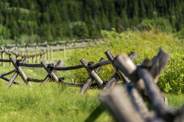 Rural Fence in the Valley