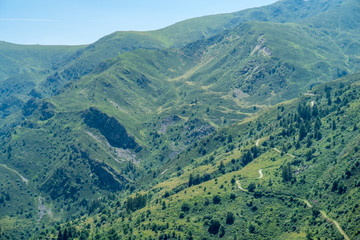 Fototapeta premium Mountain peaks meadows and forests in Grana Valley, Cuneo, Piedmont, Italy.