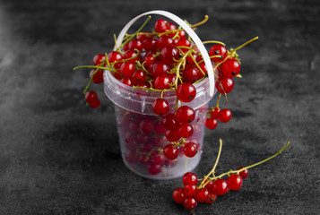 Red currants in a bucket, on the black table