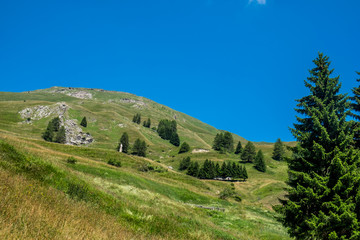 Naklejka premium Mountain peaks, meadows and pine trees sign in Grana Valley, Cuneo, Piedmont, Italy.