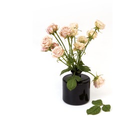 Bouquet of roses in a vase on a white background