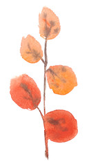 Single tree branch with round orange and yellow leaves painted in watercolor on clean white background
