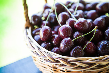 Closeup of cherries in a basket. basket with picked cherries