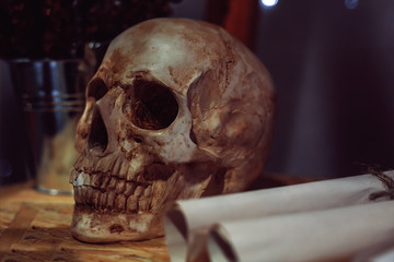 Still life with human skull and flowers