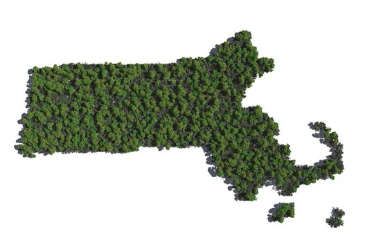 Massachusetts in Trees