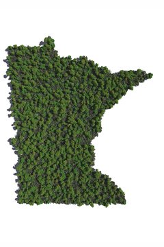 Minnesota in Trees