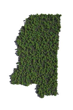 Mississippi in Trees