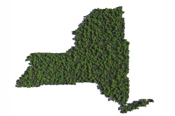 New York in Trees