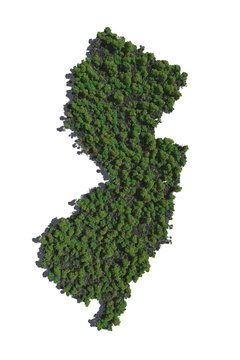 New Jersey in Trees
