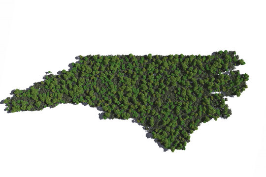 North Carolina in Trees
