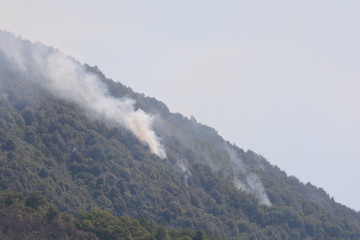 INCENDIO ESTIVO,MONTAGNA,SUD ITALIA