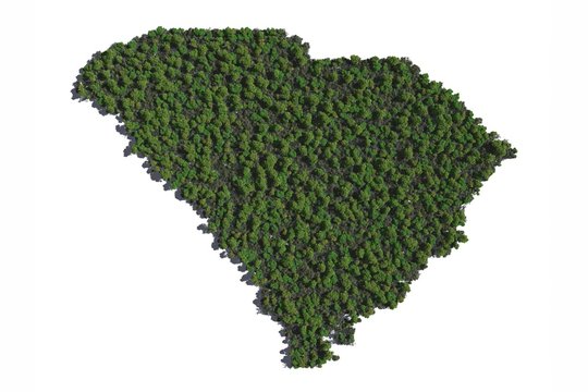 South Carolina in Trees