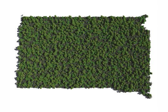 South Dakota in Trees