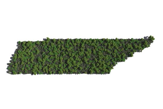 Tennessee in Trees