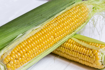 Fresh corn on cobs against  on a light background. closeup