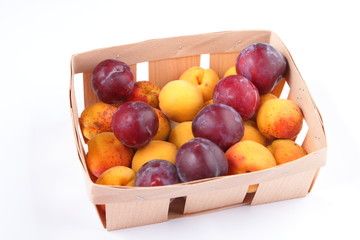 Peaches, apricots and plums in a basket isolated on white background