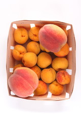 Peaches, apricots and plums in a basket isolated on white background