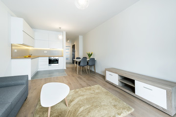 Modern living room and kitchen