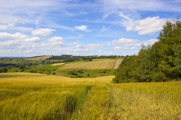 english farming landscape