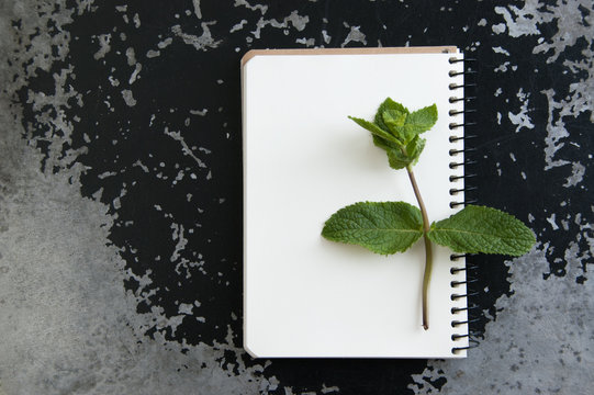 Notebok and mint on black