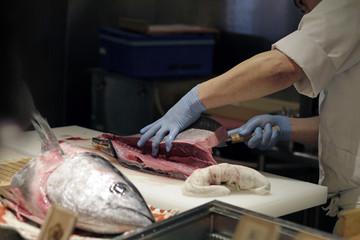 Sushi master preparing tuna