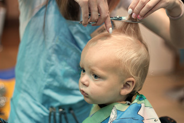 Close up portrait of toddler child getting his first haircut
