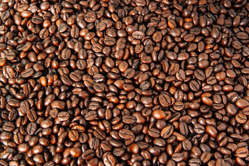 Fototapeta premium Ziarna kawy