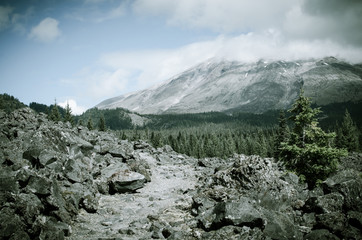Mt St Helens Trail - 164756460