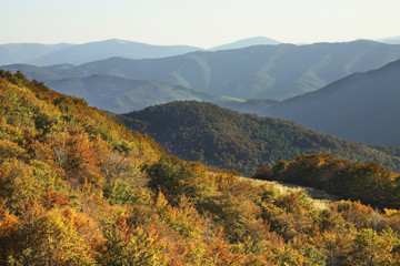 Bieszczady National Park near Wolosate village. Poland